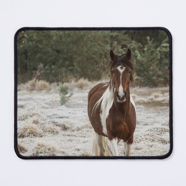Item preview, Horse - Winter #6 designed and sold by anafrancisconi.