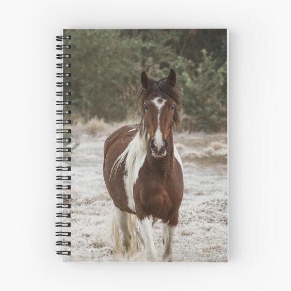 Item preview, Horse - Winter #6 designed and sold by anafrancisconi.