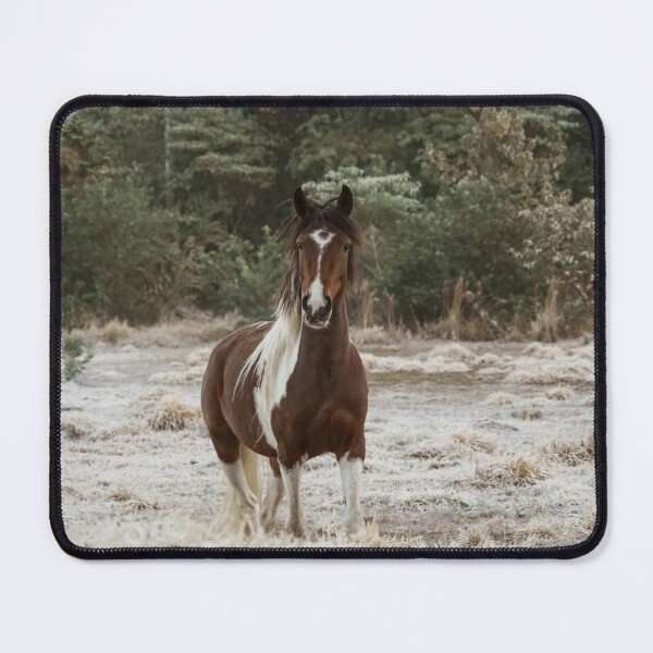 Item preview, Horse - Winter #7 designed and sold by anafrancisconi.