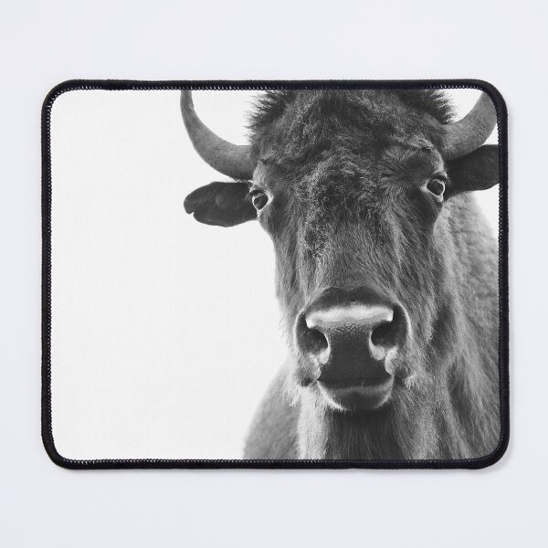 Item preview, Bison calm gaze designed and sold by Simon Charbonneau.