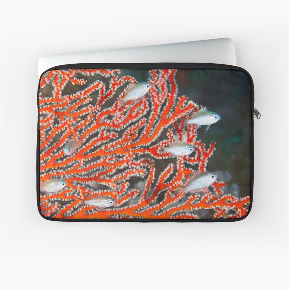 Damselfish in sea fan Laptop Sleeve