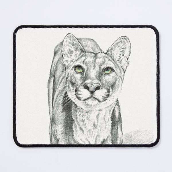 Item preview, Puma/Mountain Lion designed and sold by Jocoart1.
