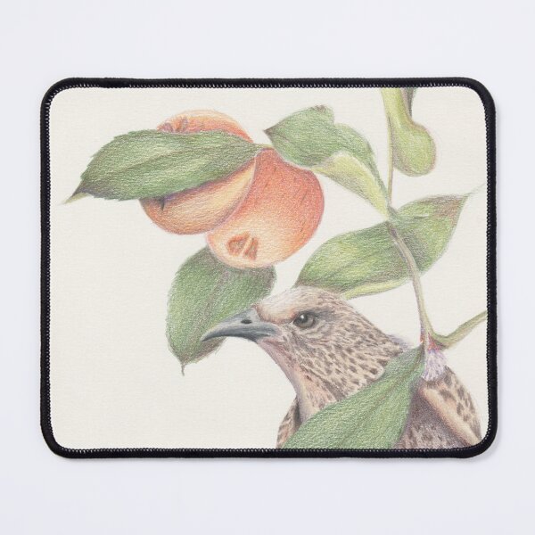 Item preview, Western Bowerbird designed and sold by Jocoart1.