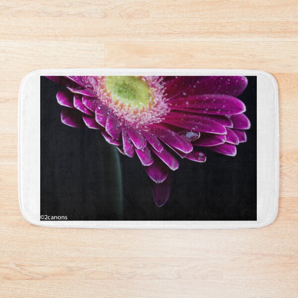 Item preview, Gerbera Daisy designed and sold by 2Canons.