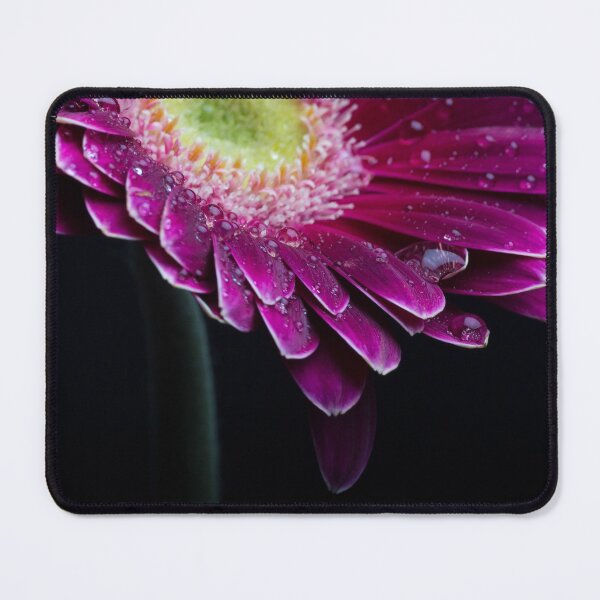 Item preview, Gerbera Daisy designed and sold by 2Canons.