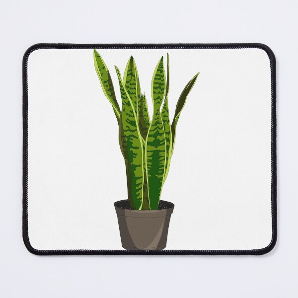 Item preview, Potted Snake Plant designed and sold by karacrylic.