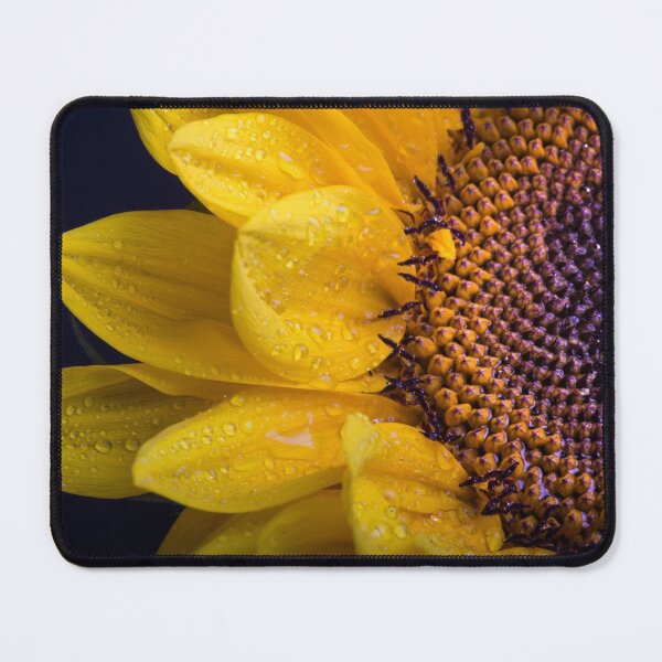 Item preview, Yellow Sunflower designed and sold by 2Canons.