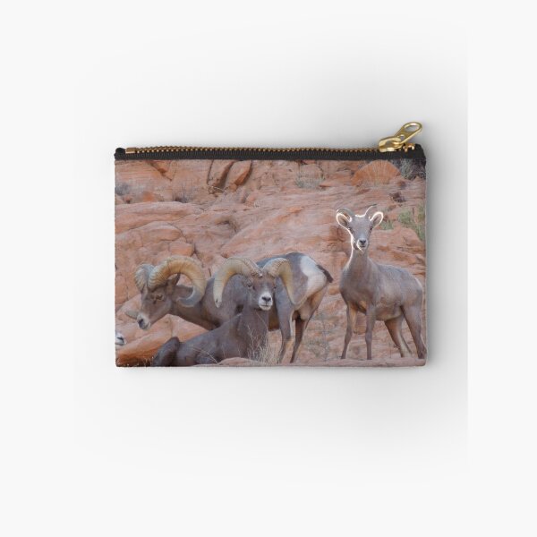 Artikelvorschau, Big Horn Sheep Pose entworfen und verkauft von djackson.