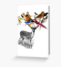 DEER BIRDY Greeting Card
