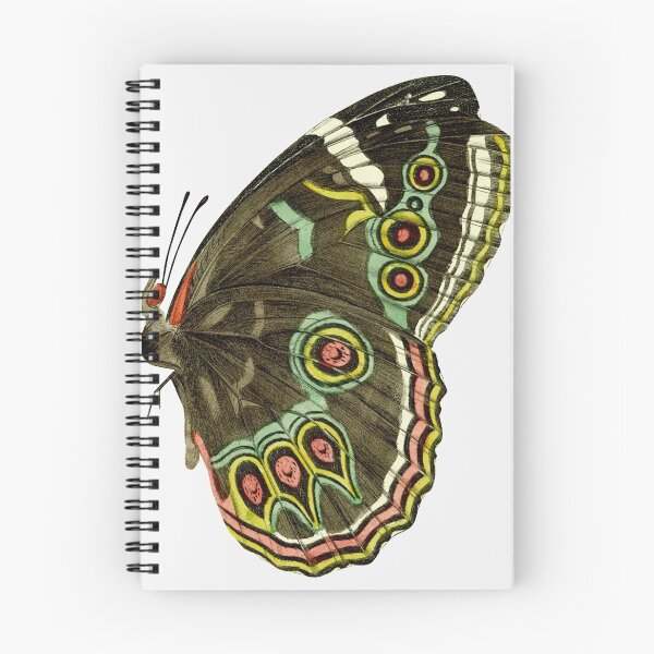 Item preview, brown and yellow butterfly illustration, Butterfly designed and sold by BkaleGrant.