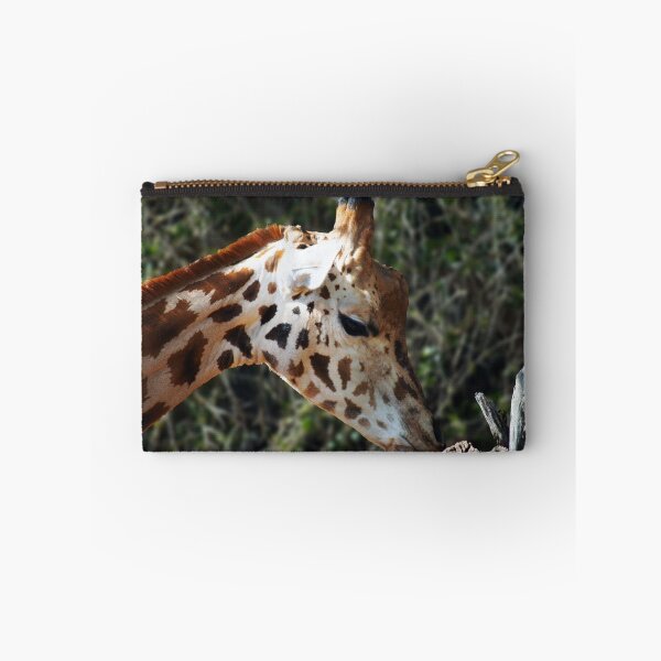 Aperçu de l'œuvre Giraffe (Giraffa camelopardalis) créée et vendue par Darren Speedie.