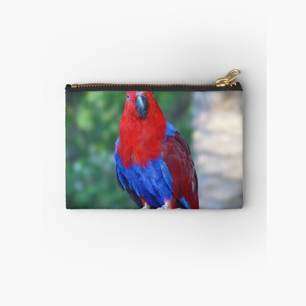 Item preview, Eclectus Parrot, Eclectus Roratus designed and sold by Darren Speedie.