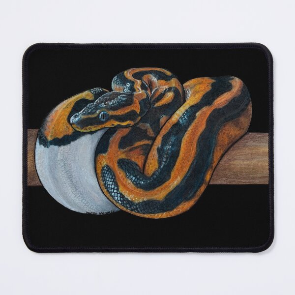 Item preview, Petey Python designed and sold by Madison Whitaker.