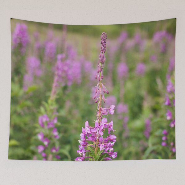 Item preview, Fireweed Photography Print designed and sold by griffingphoto.