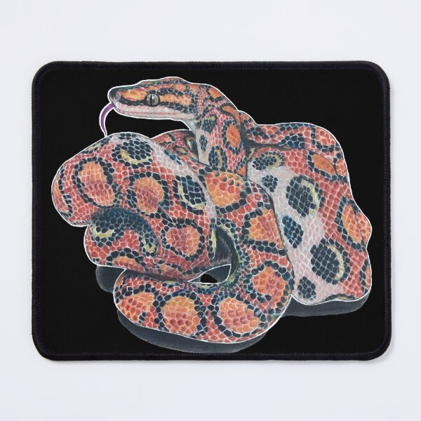 Item preview, Brazilian Rainbow Boa designed and sold by Madison Whitaker.