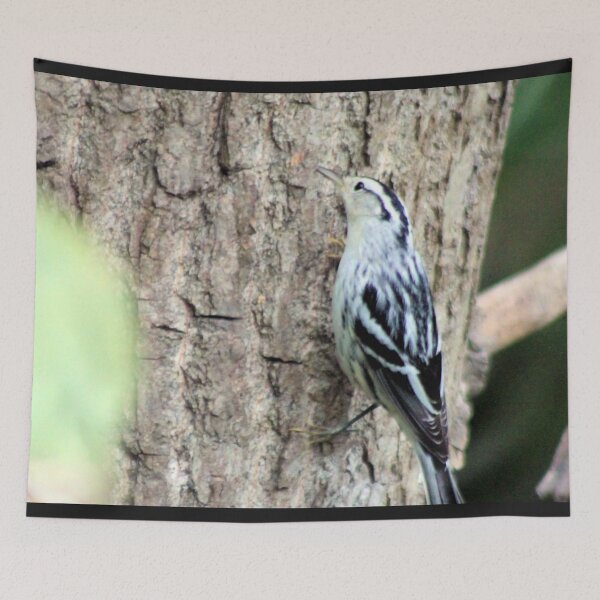 Item preview, BLACK AND WHITE WARBLER designed and sold by BOLLA67.