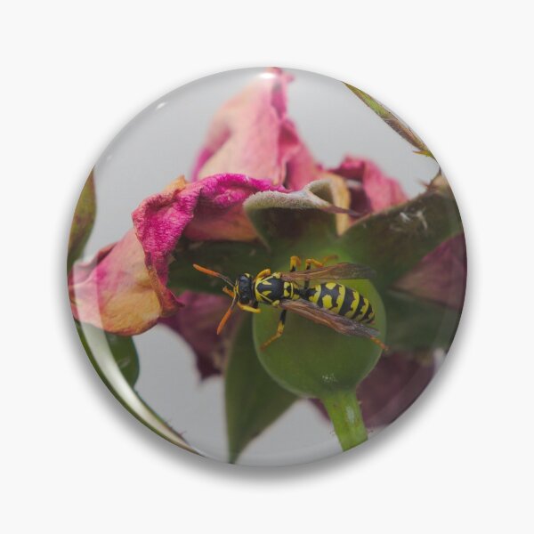 Item preview, Wasp Crawling On Dead Roses designed and sold by Jason Gilbert.