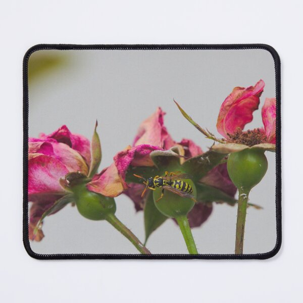 Item preview, Wasp Crawling On Dead Roses designed and sold by Jason Gilbert.