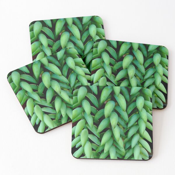 Item preview, Burrows Tail Succulent Photograph designed and sold by TeeRayBee.