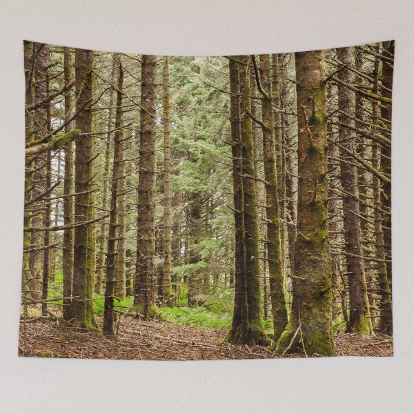 Item preview, Old Growth Forest Photography Print designed and sold by griffingphoto.