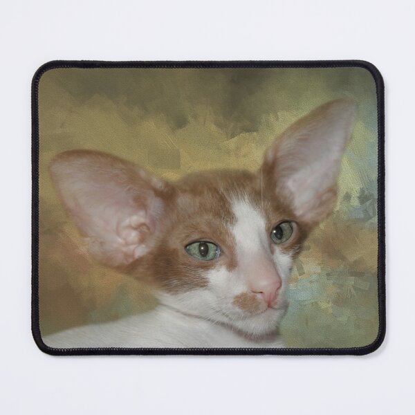 Item preview, Young Oriental Shorthair Cat designed and sold by Elisabeth Lucas.
