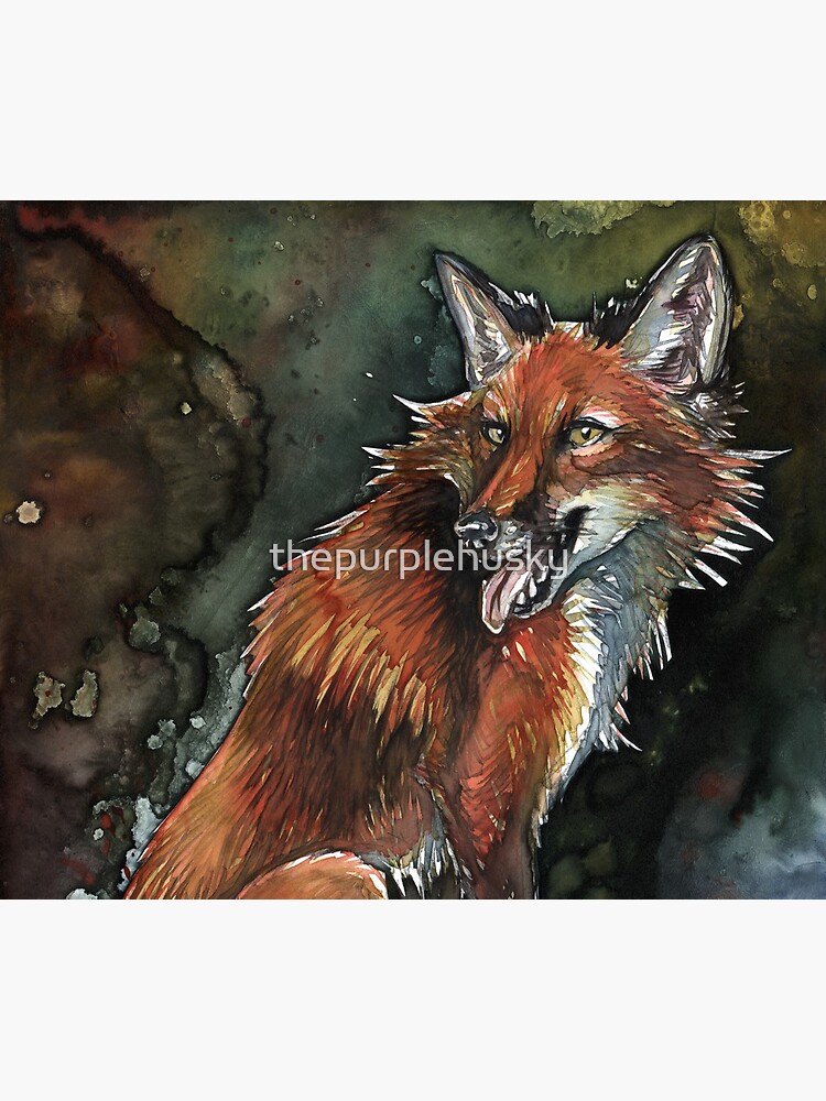 Vulpes by thepurplehusky