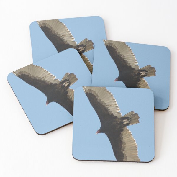 Item preview, SOAR!  Beauty! Predatory birds along coastal shores of CA; Just S.Morro Bay USA designed and sold by leih2008.