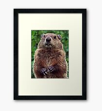 Woodys Portrait Framed Print