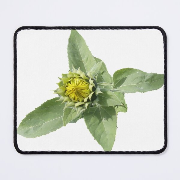 Item preview, little sunflower designed and sold by miaterinka.
