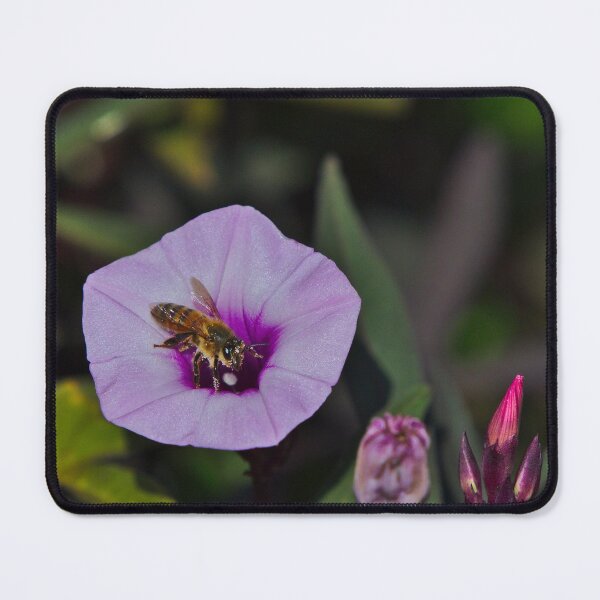 Item preview, Bee Bee Covered In Pollen Emerging From A Flower Bees designed and sold by Jason Gilbert.