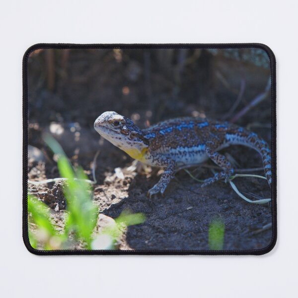 Item preview, A Cute Bearded Dragon Lizard In Western Australia designed and sold by Jason Gilbert.