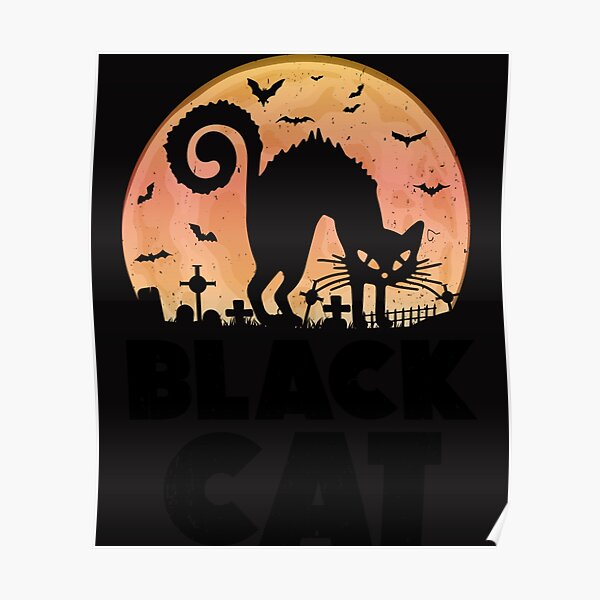 Chat Noir Posters For Sale Redbubble