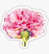 Carnation : The January Flower Sticker