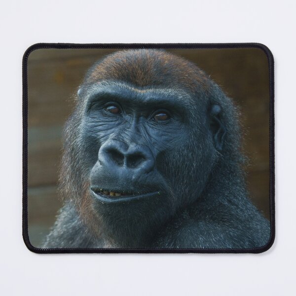Item preview, Cheeky Gorilla Grin designed and sold by rawshutterbug.