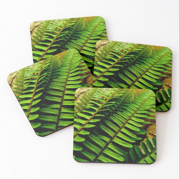 Item preview, Photograph of Ferns on GumTree Bark designed and sold by TeeRayBee.