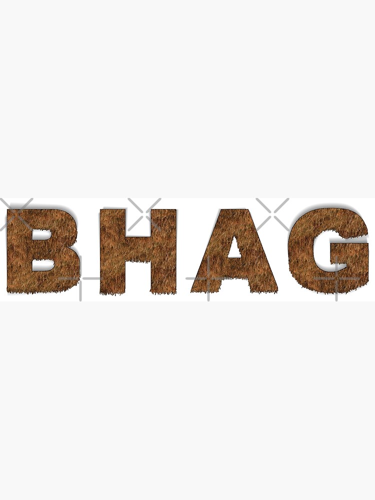 BHAG - Starter Story