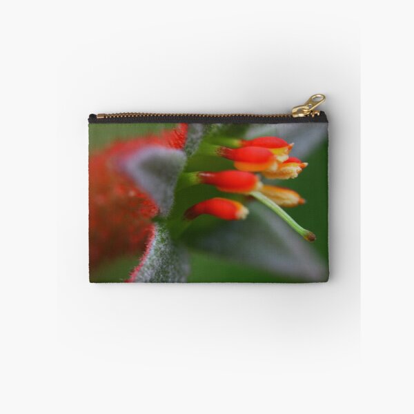 Item preview, Anigozanthos flavidus  designed and sold by andrachne.