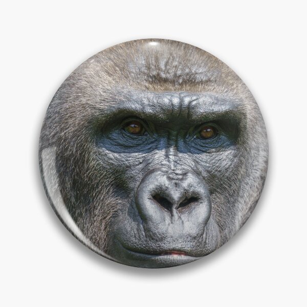 Item preview, Gorilla Close-Up Portrait designed and sold by rawshutterbug.