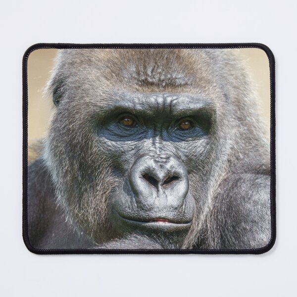 Item preview, Gorilla Close-Up Portrait designed and sold by rawshutterbug.