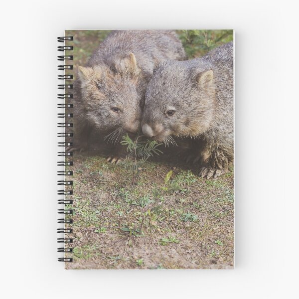 Item preview, Sweet Wombat Pair designed and sold by Cosmic  Fox Photography.
