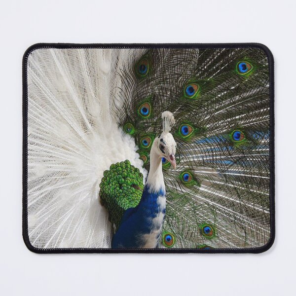 Item preview, White Blue Peacock designed and sold by Erika Kaisersot.