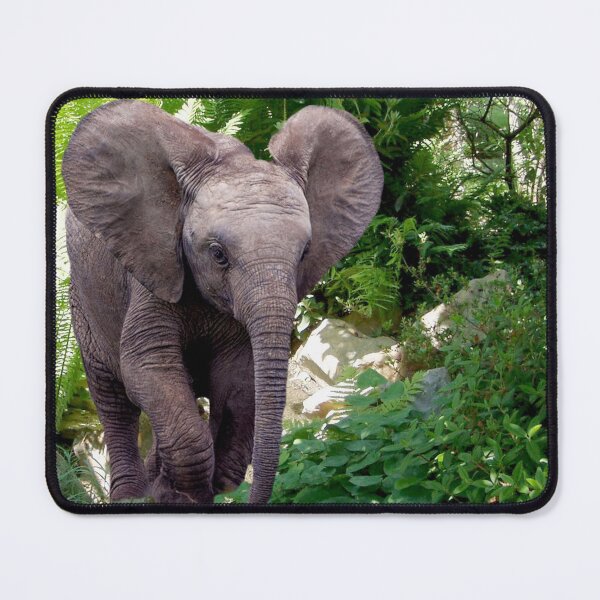 Item preview, Elephant and Jungle designed and sold by Erika Kaisersot.
