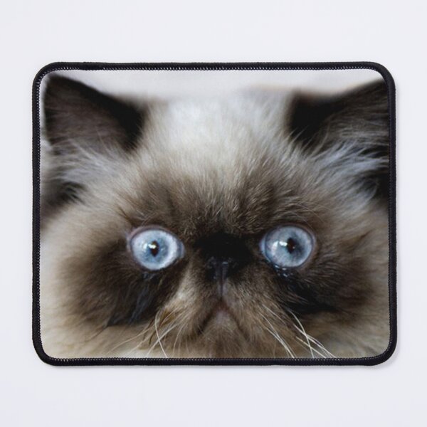 Item preview, Funny Cat designed and sold by Erika Kaisersot.