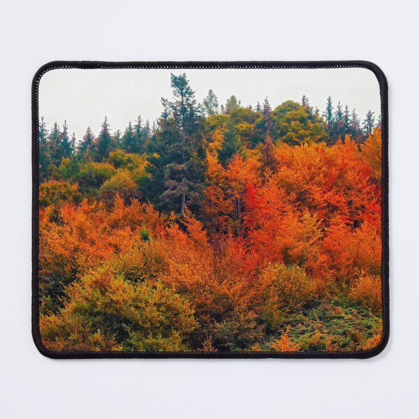 Item preview, The Kobernausser Wald designed and sold by William A McCarthy.