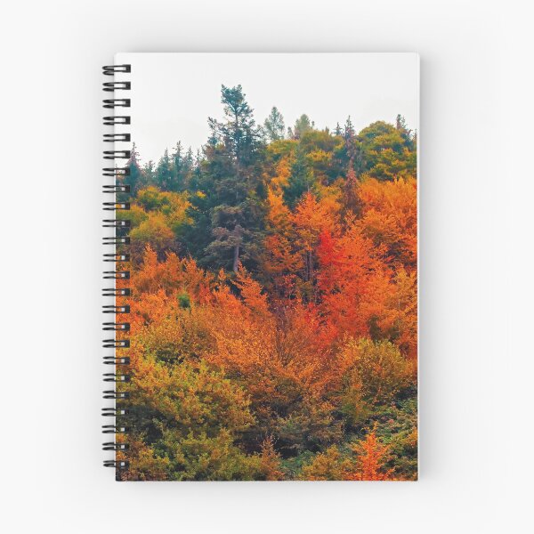 Item preview, The Kobernausser Wald designed and sold by William A McCarthy.