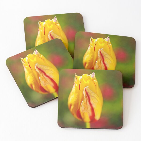 Item preview, Tulip Bright Yellow Red designed and sold by Joy Watson - Natural Light Photography .