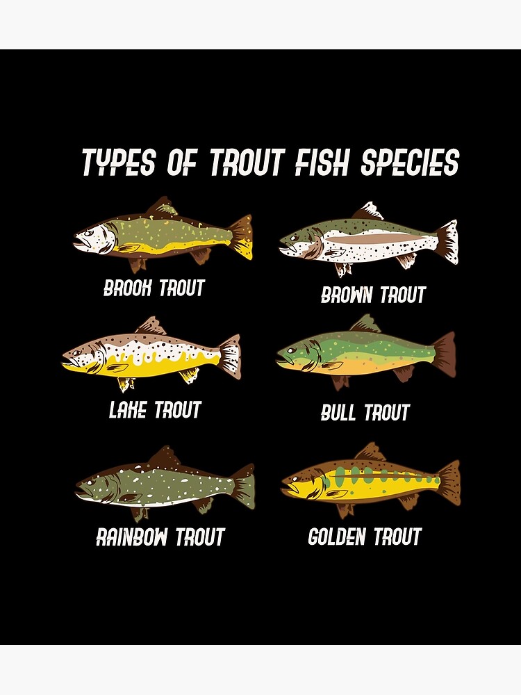 Types of Trout Fish Species Fishing Fisher Gifts' Baby Cap