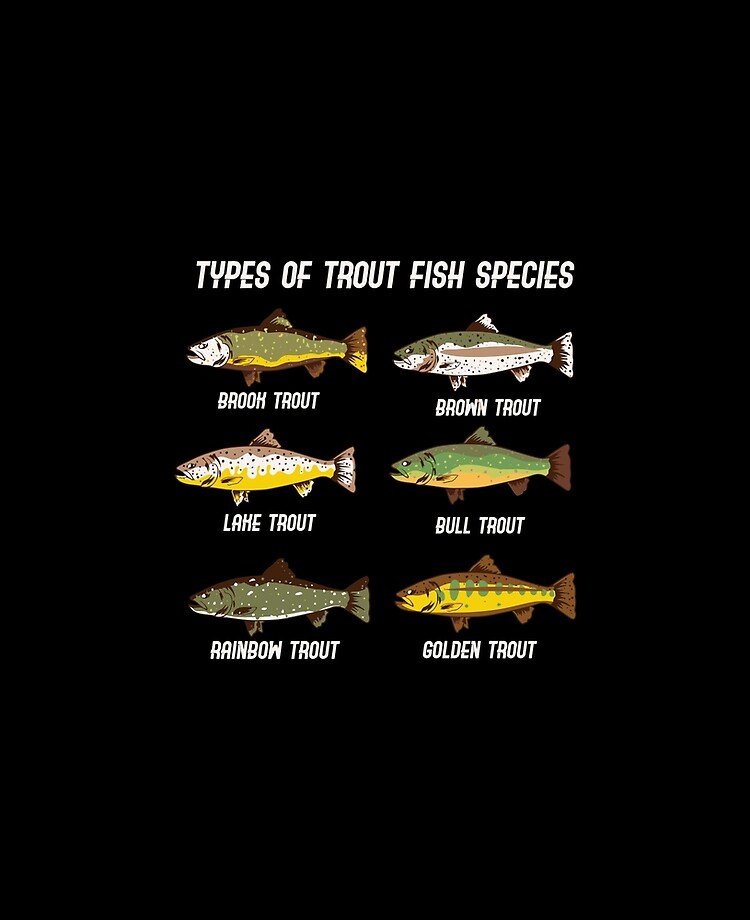  Funny Cool Types Of Fish Species Fisherman Fishing