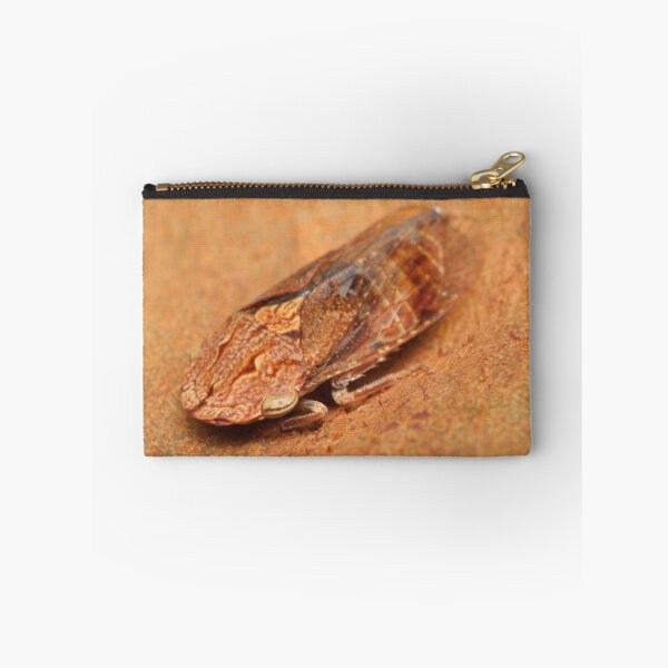Item preview, Male black flat-head leafhopper - Stenocotis depressa designed and sold by Andrew Trevor-Jones.