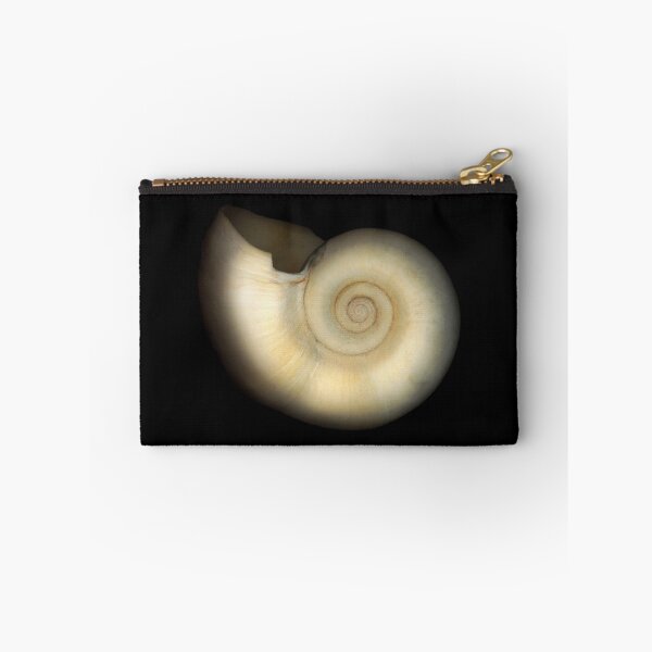 Item preview, Shell - Conchology - Nautilus designed and sold by Mike Savad Photography.